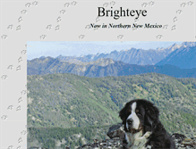 Tablet Screenshot of brighteye.org